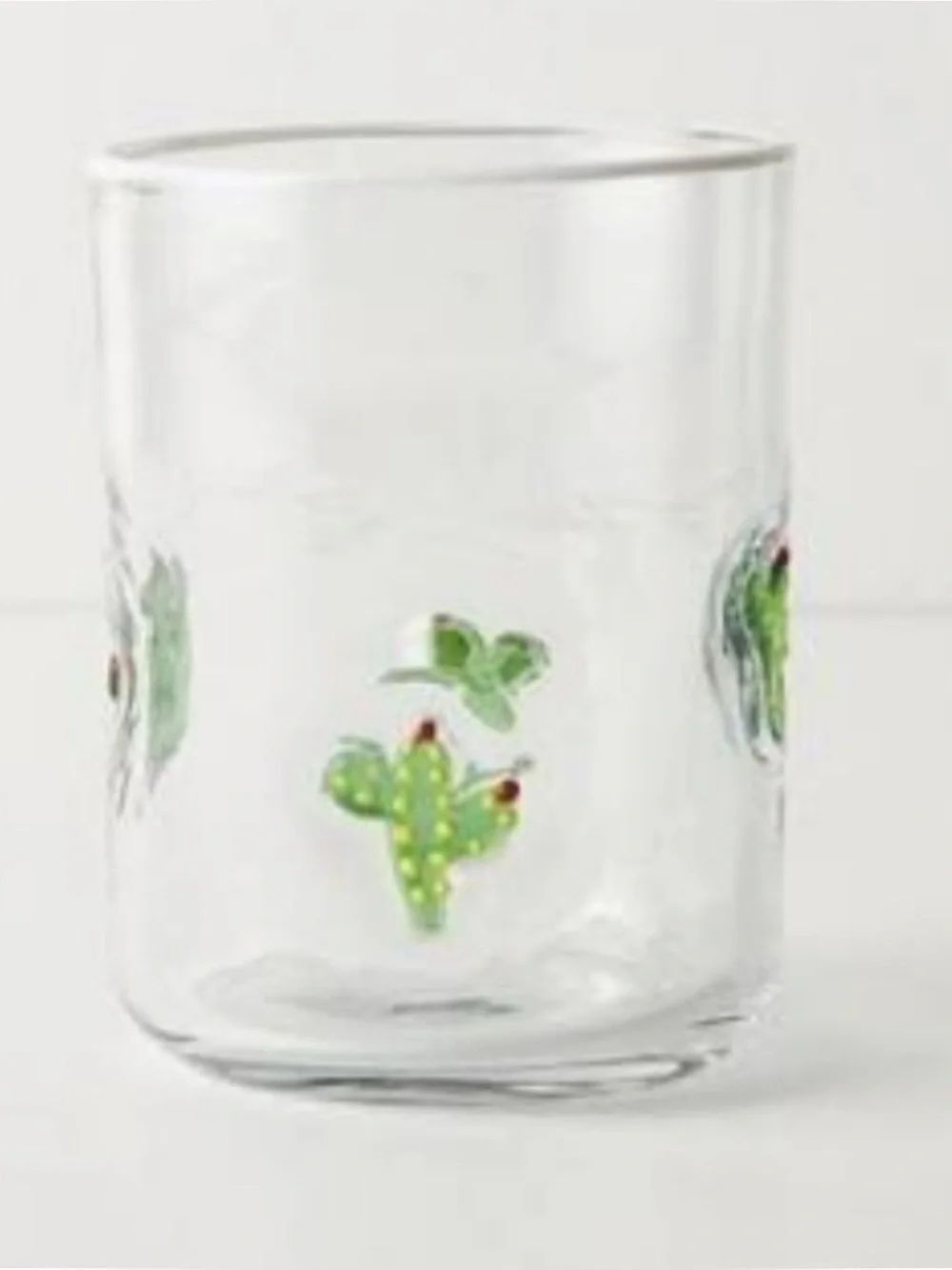 Rare~NWT Anthro Cactus Isla Juice Glass